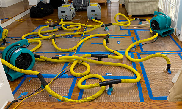 Professional Basement Flood Cleanup technician working in Casselton, ND